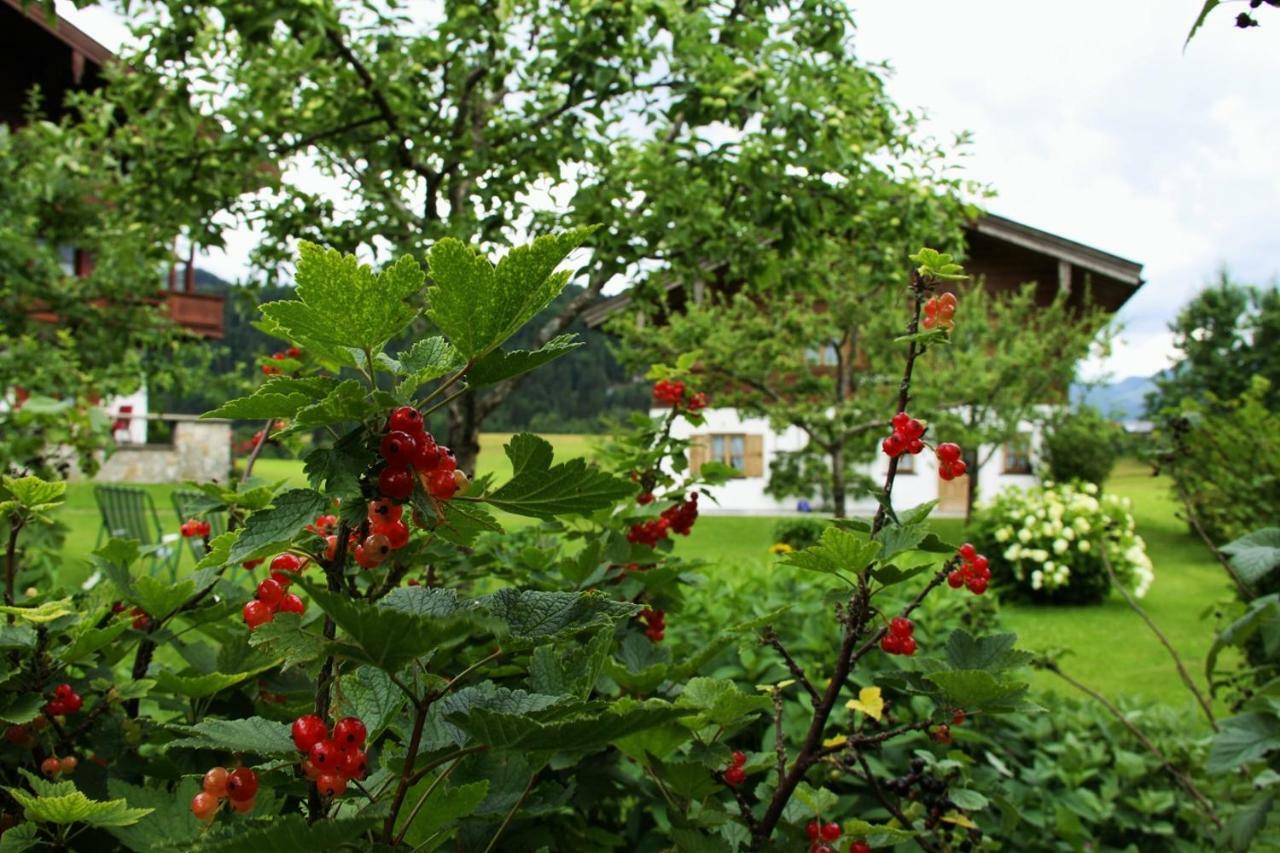 Chalet Menkenhof Reit im Winkl Exterior photo